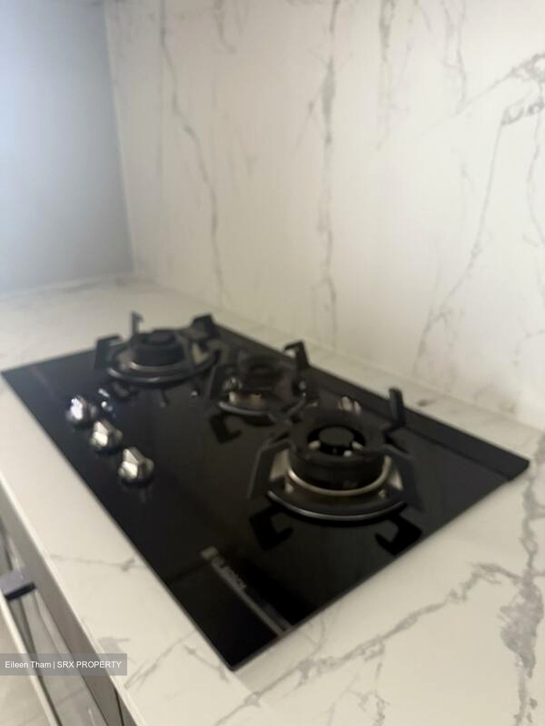 Sky Eden@Bedok (D16), Apartment #501278601